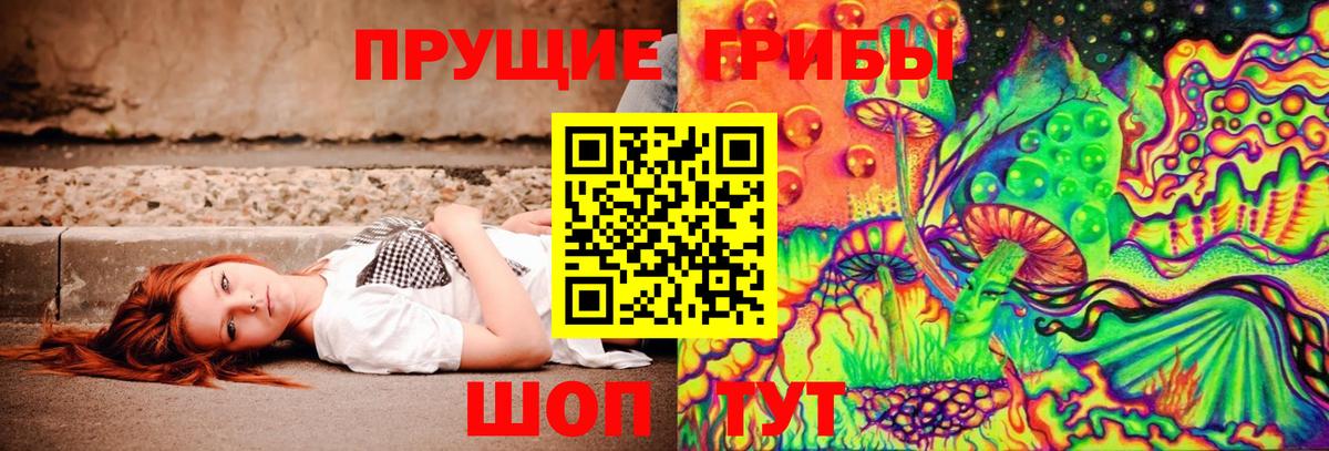 Галлюциногенные грибы Magic Shrooms Дятьково