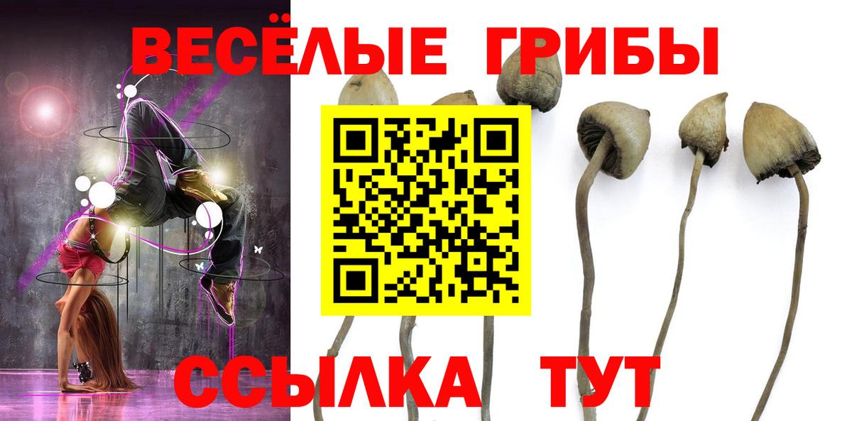 Дятьково  Галлюциногенные грибы Psilocybine cubensis  Вход с VPN  Псилоцибиновые грибы Psilocybe 